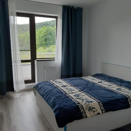 Apartamento Dorin Colina Marei Sinaia Exterior foto