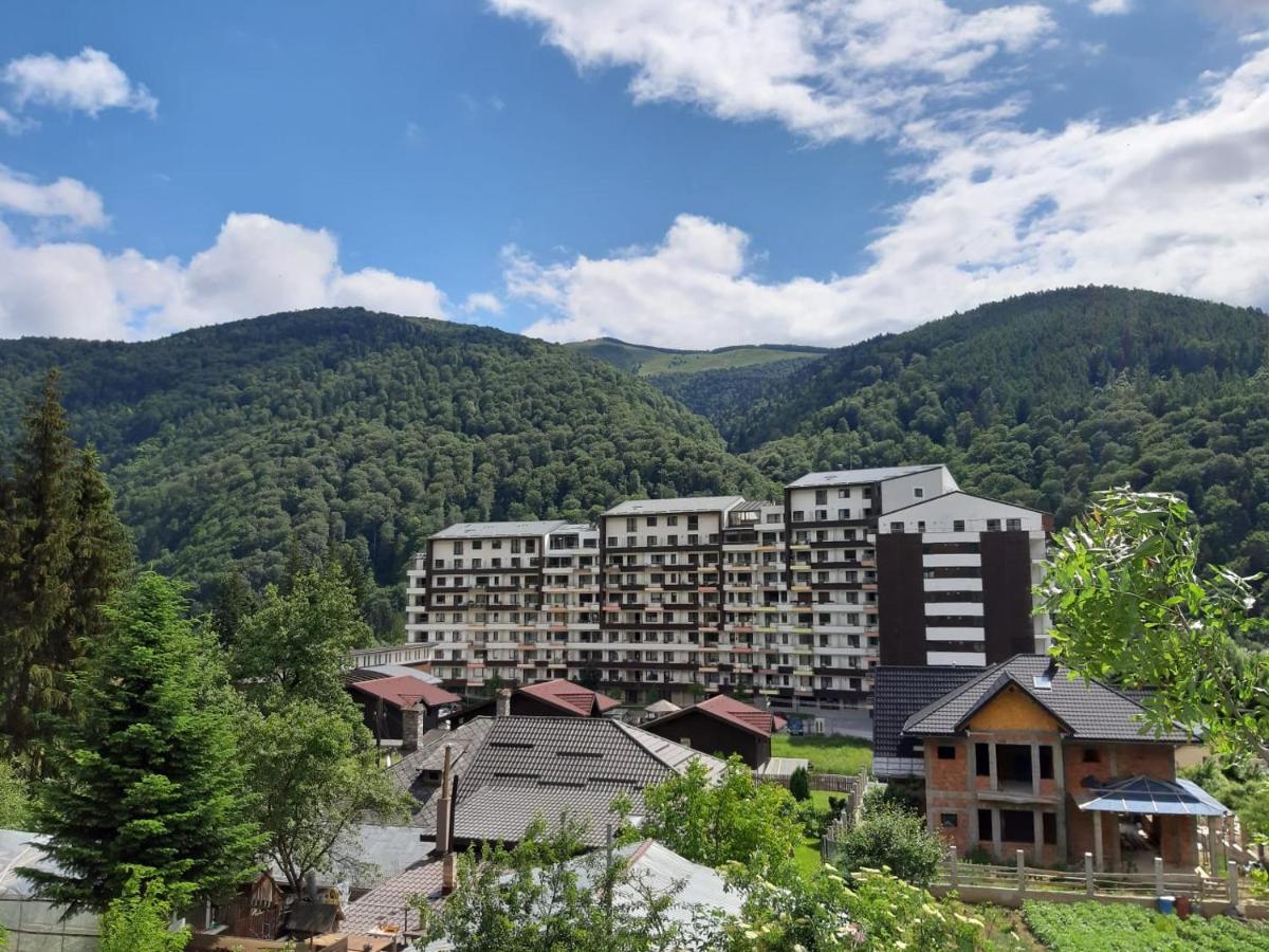 Apartamento Dorin Colina Marei Sinaia Exterior foto
