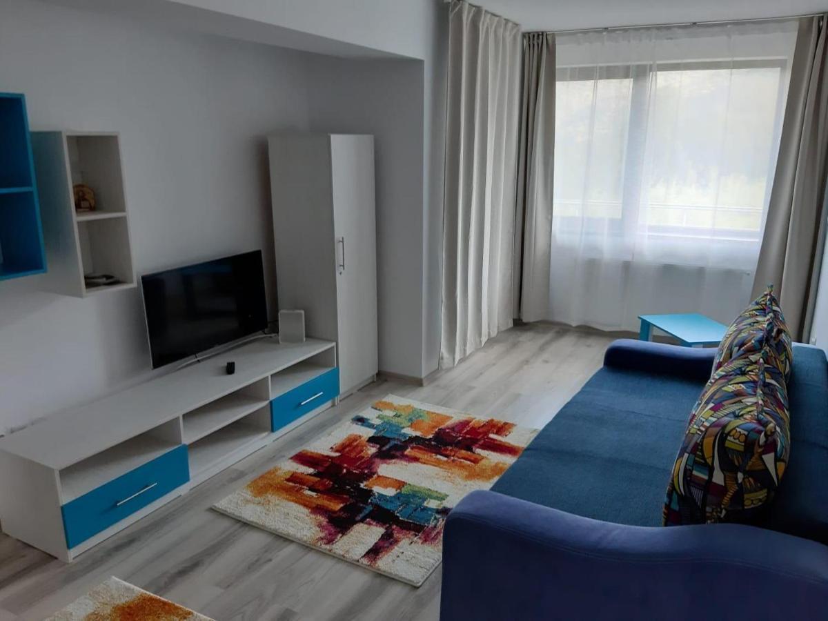 Apartamento Dorin Colina Marei Sinaia Exterior foto